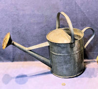 2 Gallon Galvanised Watering Can WC77 