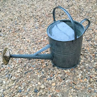 3 Gallon Galvanised Watering Can WC64