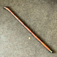 Carved Bamboo Walking Stick WS56