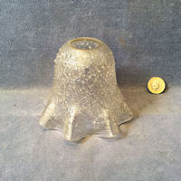 Clear Glass Lamp Shade S516
