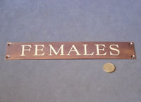Females Brass Nameplate NP267