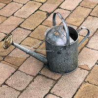 Galvanised 2 Gallon Watering Can WC70