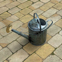 Galvanised 2 Gallon Watering Can WC71