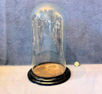 Glass Dome on Plinth D38