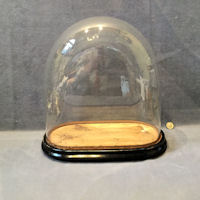 Glass Dome on Wooden Plinth