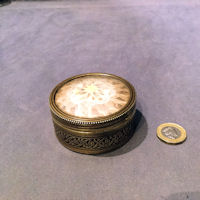 Brass Box with Inset Insect Wings NH8