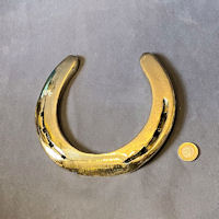 Large Brass Horse Shoe HB188