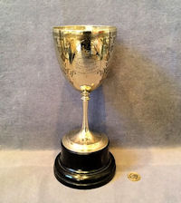 Liverpool Pigeon Show Trophy SG214