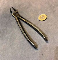 Montague of London Dental Forceps DF21