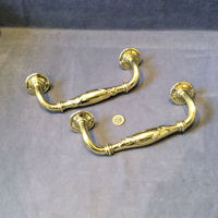 Pair of Brass Door Pulls DP566