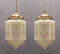 Pair of Electric Pendant Lights HL326