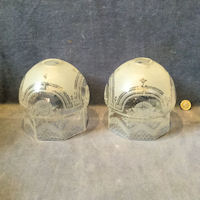 Pair of Etched Glass Light Shades S548