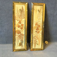 Pair of Ferns Under Glass Fingerplates