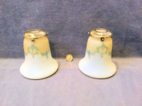 Pair of Frosted Glass Lamp Shades S553