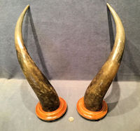 Pair of Mounted Cow Horns Obelisks