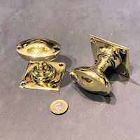 Pair of Oval Brass Door Handles DH969