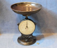 Salters Family Scale S249