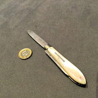 Silver Bladed Fruit Knife and Nut Pick FK77