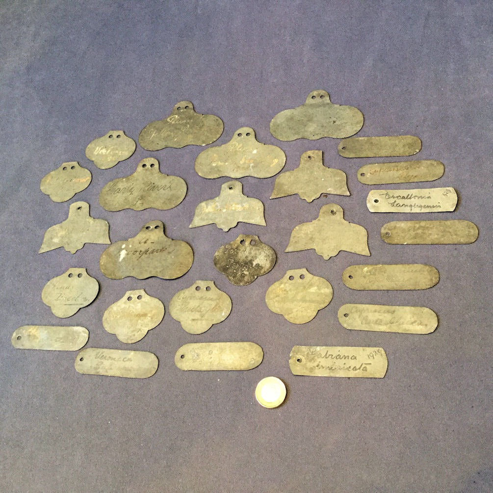 26 Zinc Shrub Labels — Zinc, 1920's