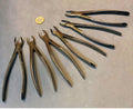 6 Matching Ferguson Dental Forceps — Steel, mid 19th century