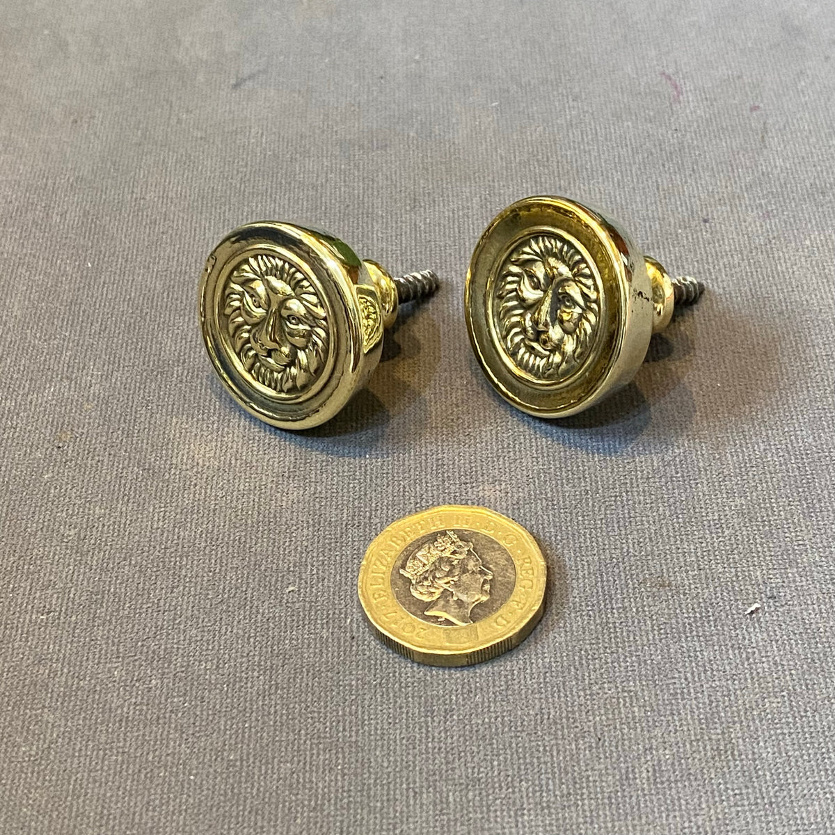 Pair of Brass Lion Mask Cupboard Knobs