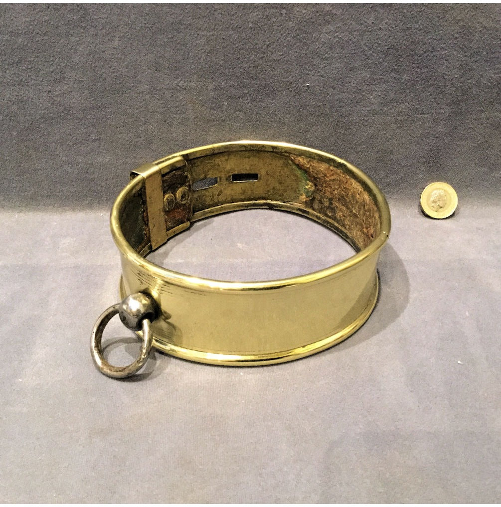 Brass Dog Collar — view 2