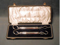 Cased Pair of Salter Balances — Nickel
