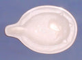 Copeland Chicken Jelly Mould — Ceramic, 19th century