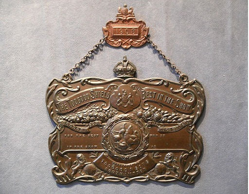 Copper Toogood Trophy Shield — Copper, 1908