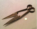 Double Sprung Sheep Shears — Steel, late 19th century