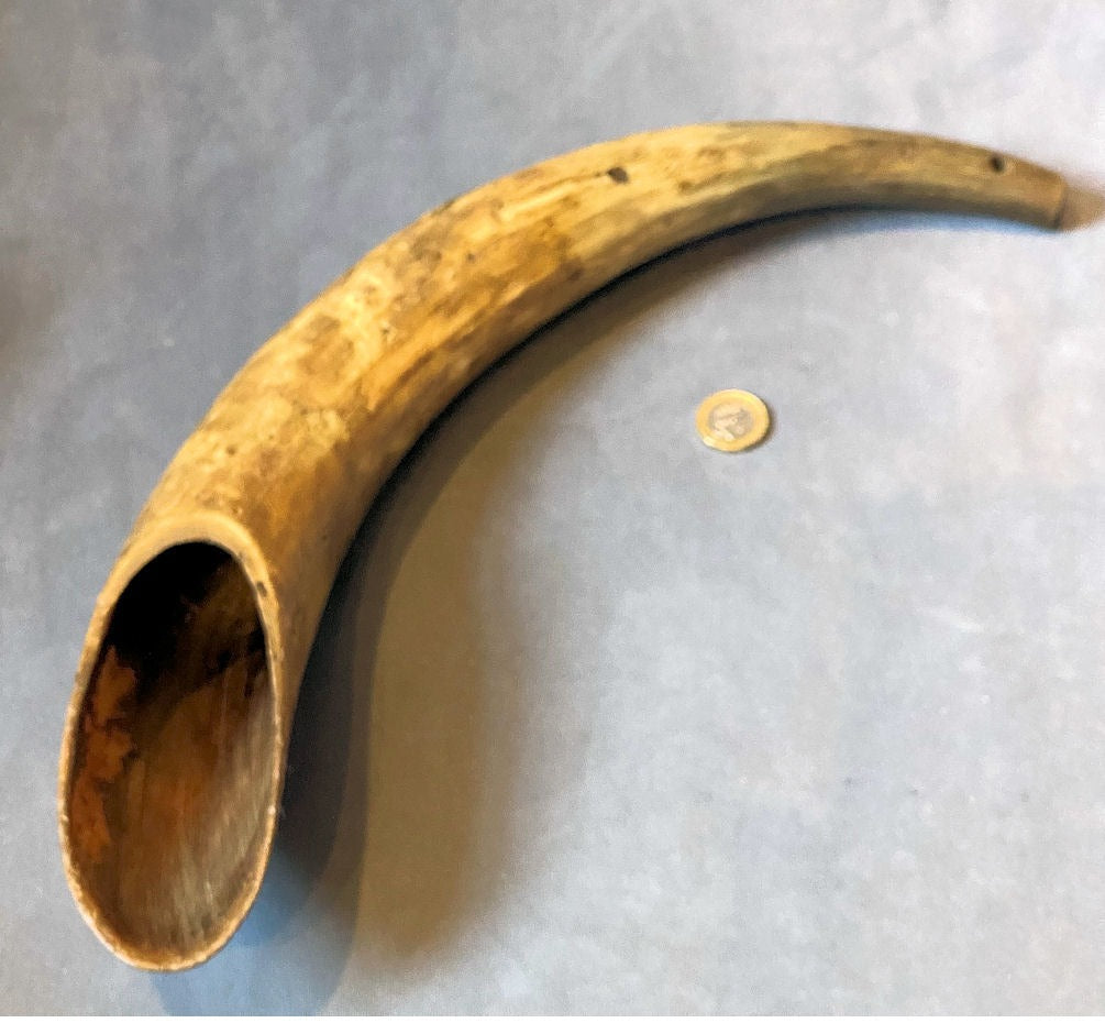 Drenching Horn — Horn, late 19th century