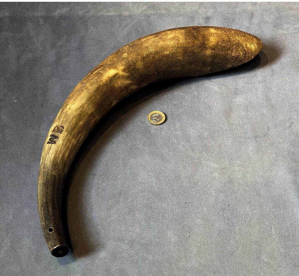 Drenching Horn — view 2