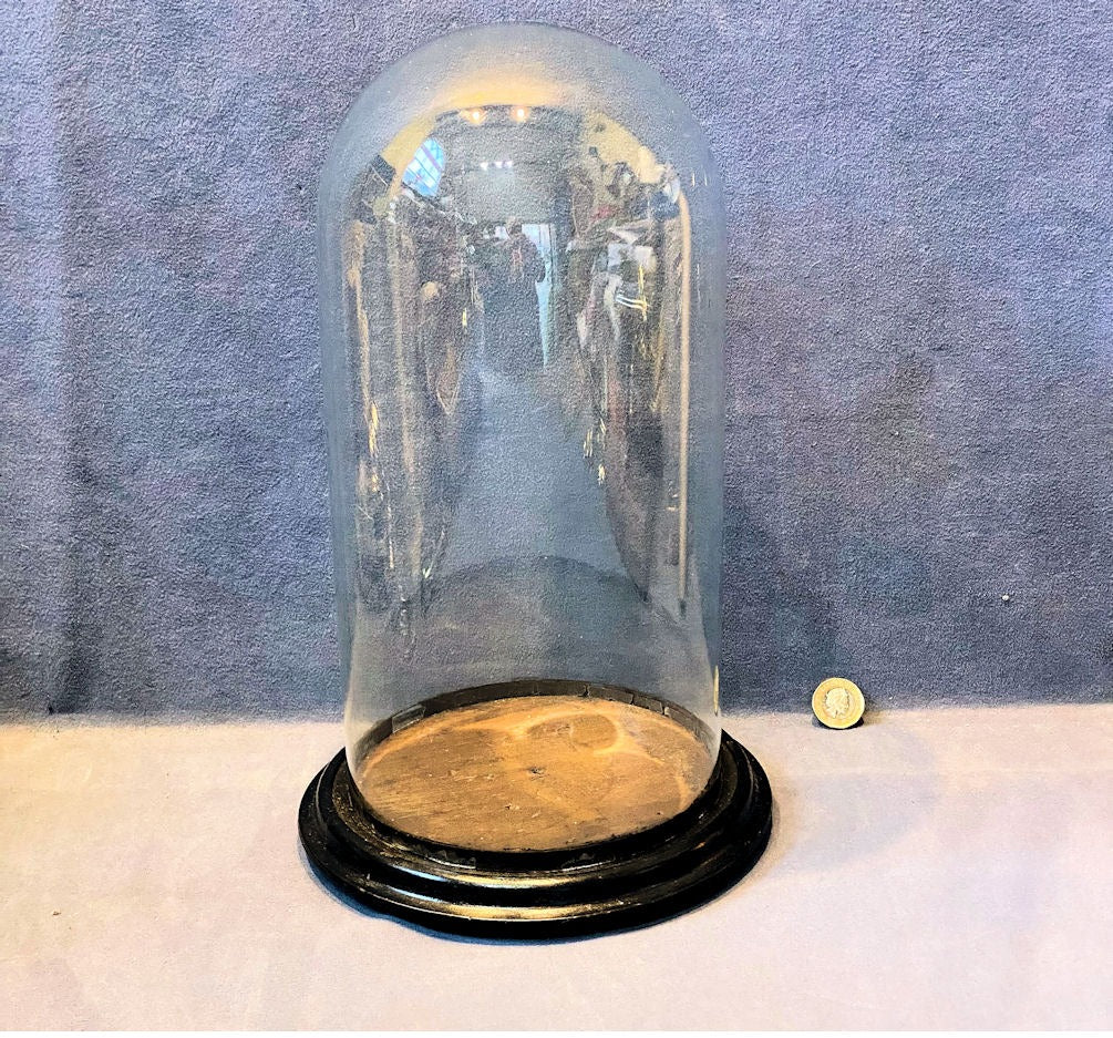 Glass Dome on Plinth — Glass, late 19th century