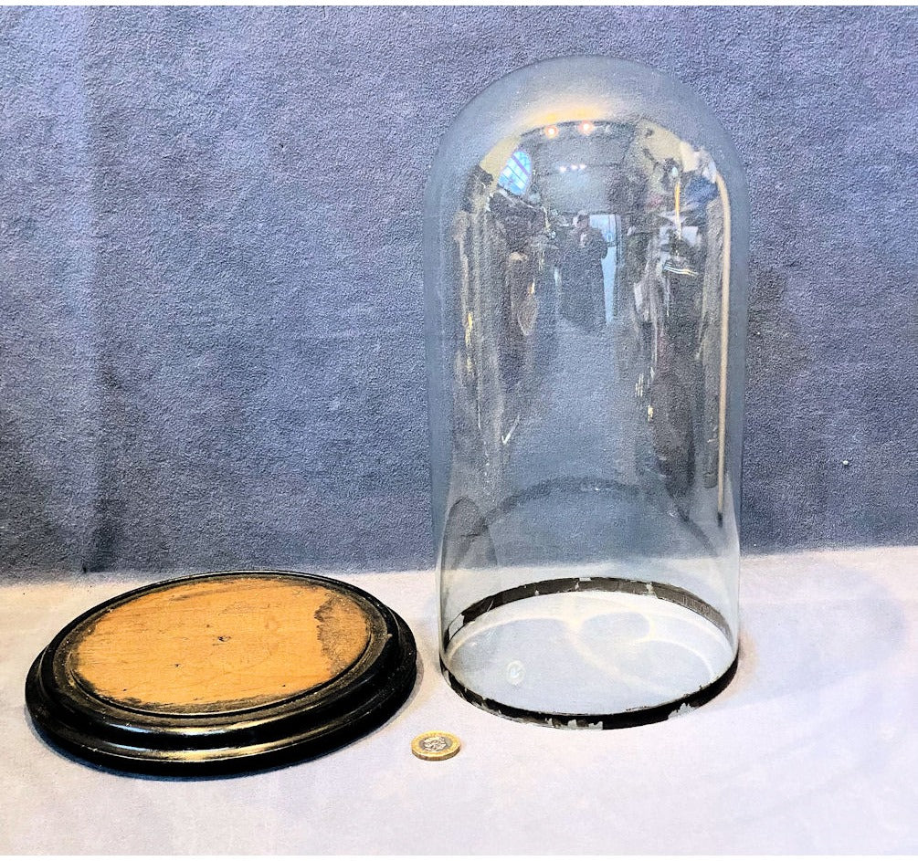 Glass Dome on Plinth — view 2