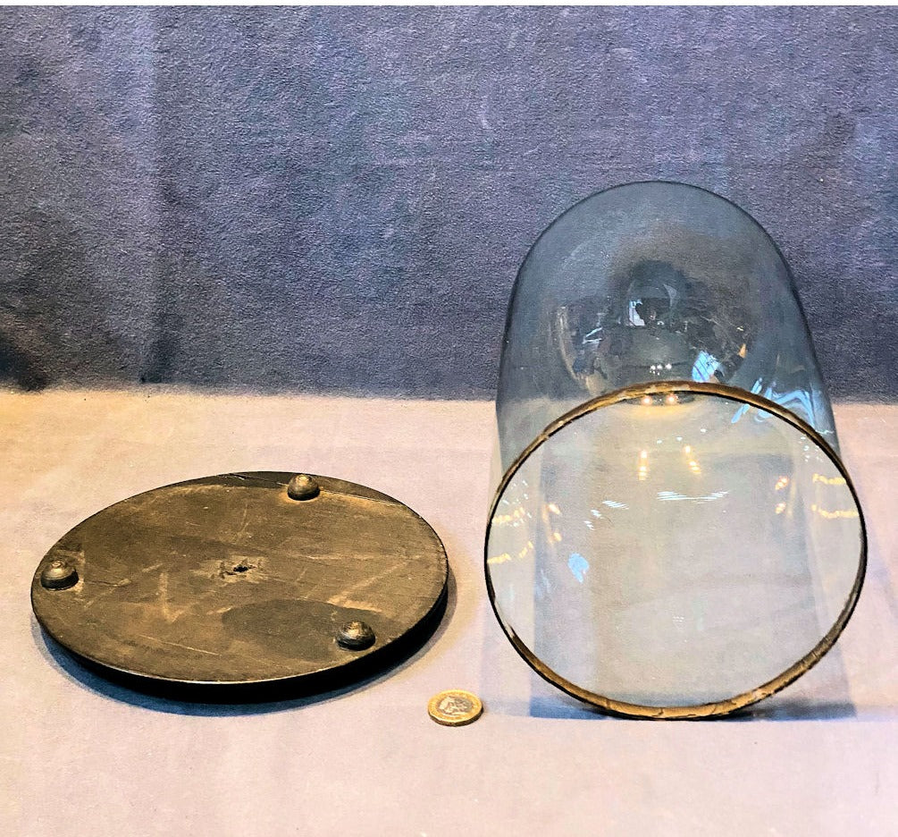 Glass Dome on Plinth — view 3