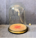 Glass Dome on Plinth — Glass, late 19th century