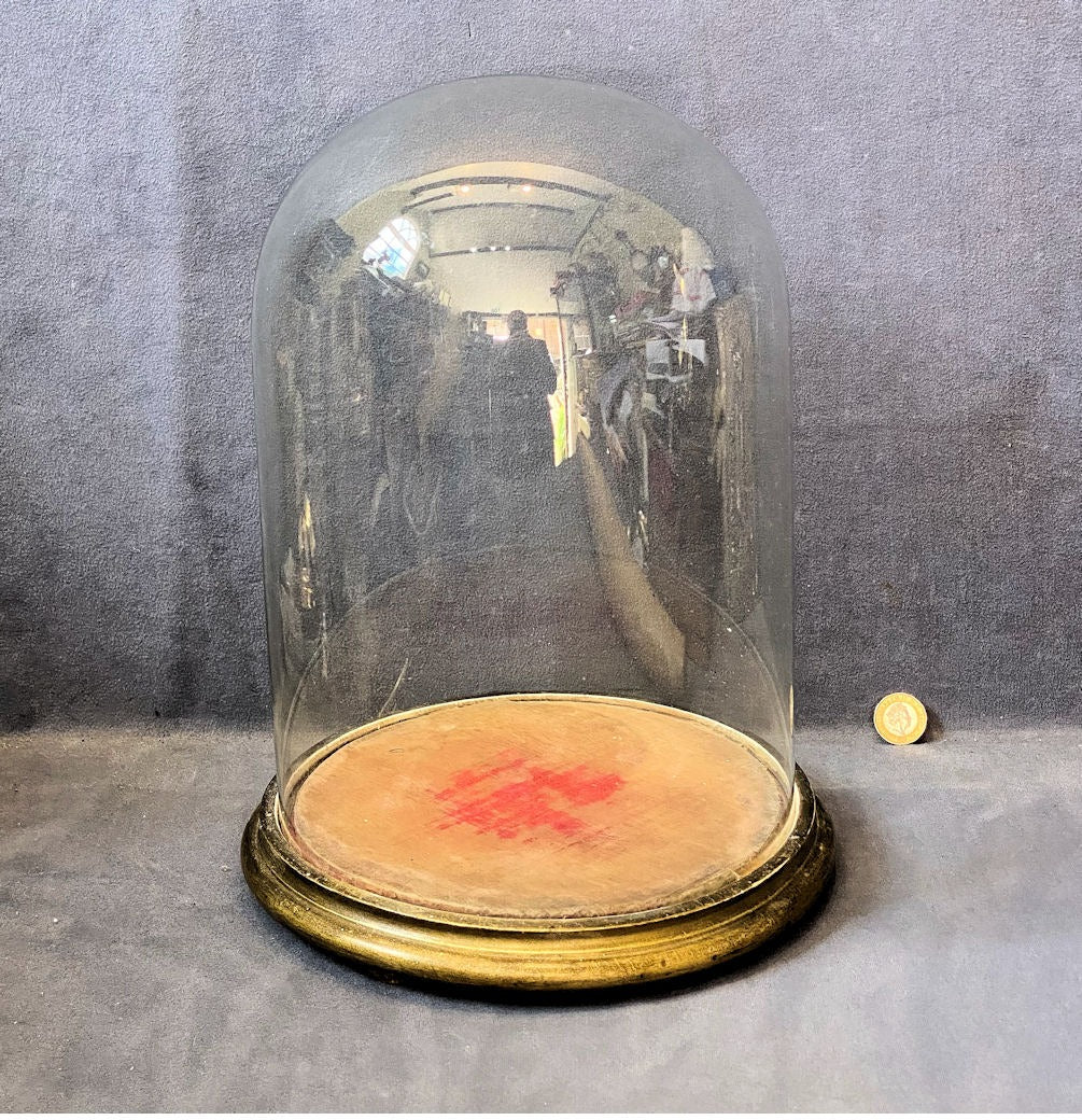 Glass Dome on Plinth — Glass, late 19th century