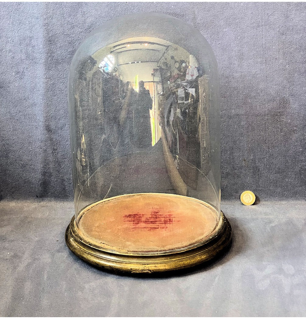 Glass Dome on Plinth — view 2