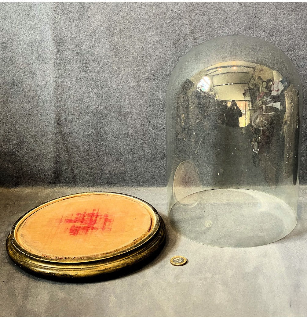 Glass Dome on Plinth — view 3