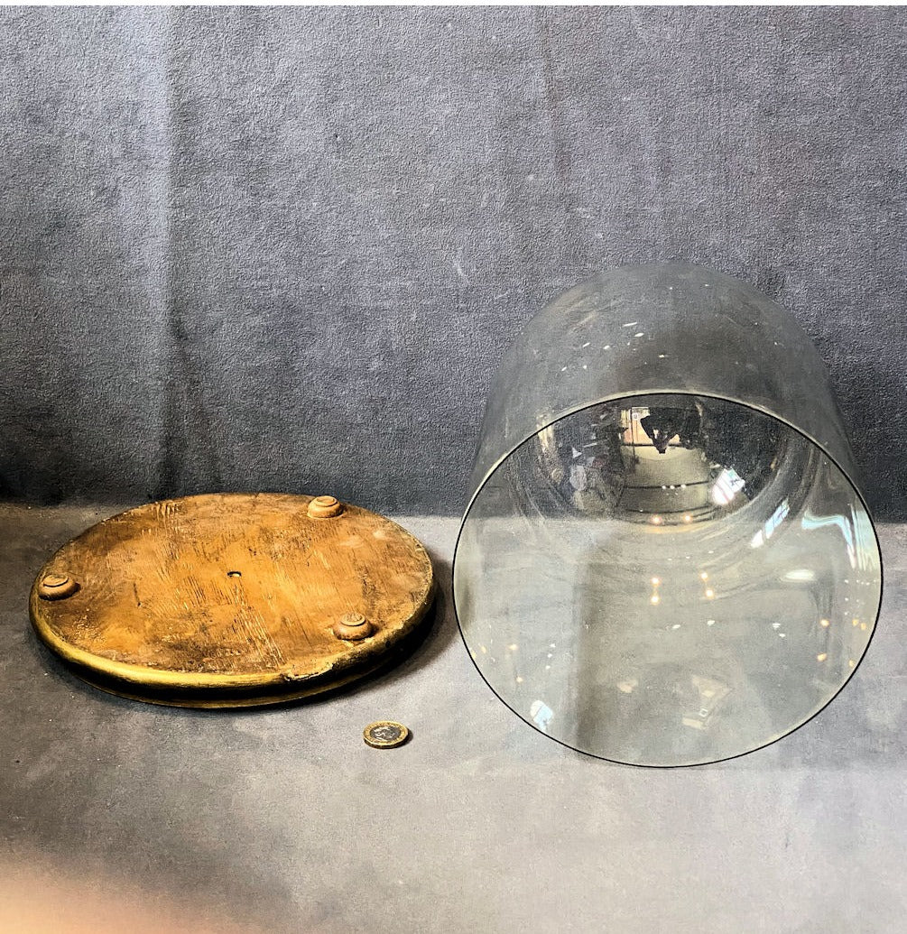 Glass Dome on Plinth — view 4