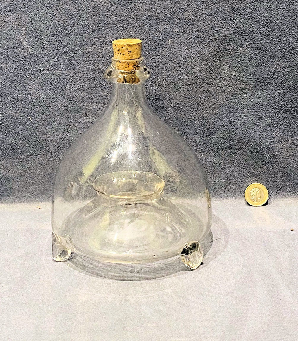 Glass Flytrap — Glass, late 19th century