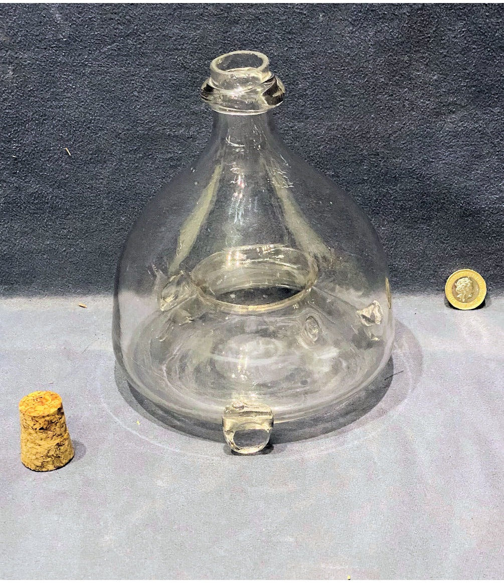 Glass Flytrap — view 2