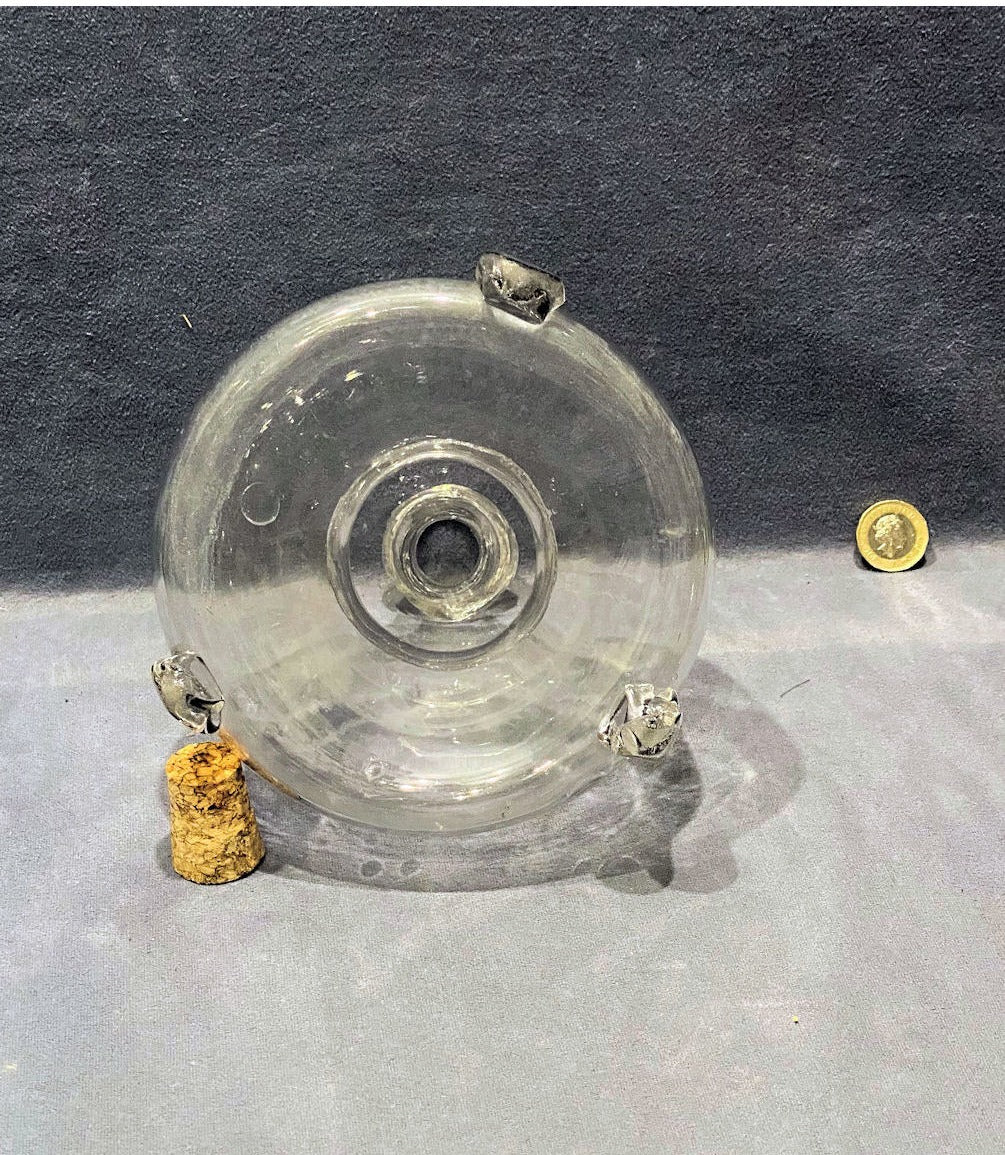 Glass Flytrap — view 3