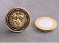 Lion Brass Cupboard Knob — Brass, late 19th century