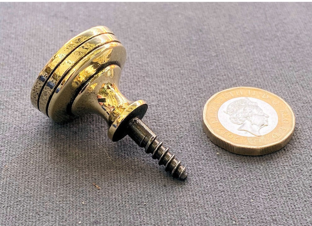 Lion Brass Cupboard Knob — view 2