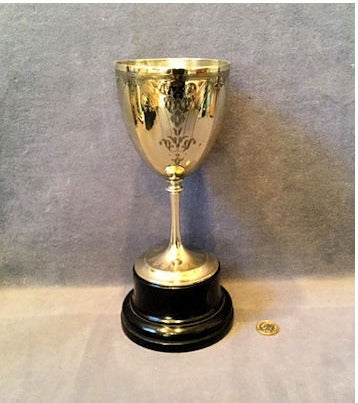 Liverpool Pigeon Show Trophy — view 3