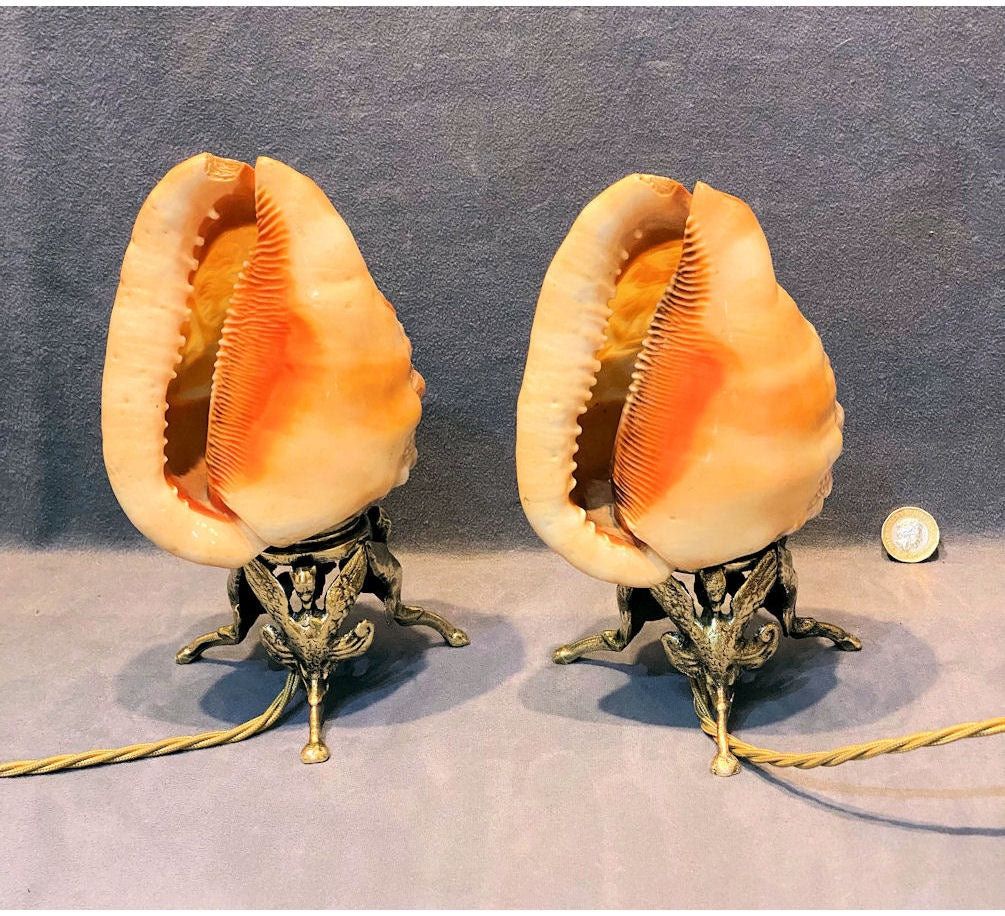 Pair of Carved Cameo Shell Electric Side Lamps — view 2