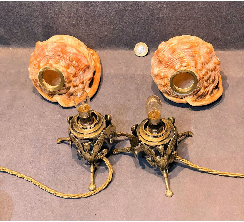 Pair of Carved Cameo Shell Electric Side Lamps — view 4