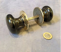 Pair of Cowhorn Door Handles — Horn, early 19th century