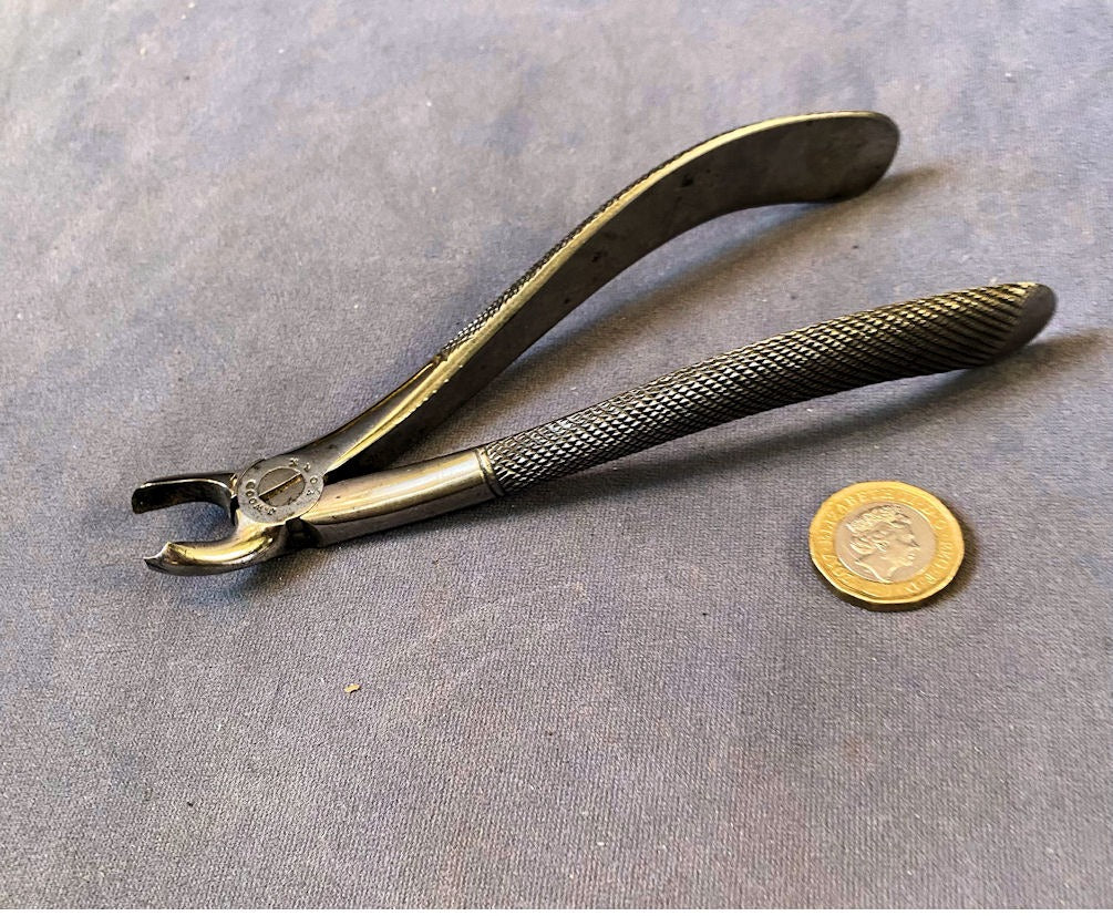 Pair of Dental Forceps — Steel, late 19th century